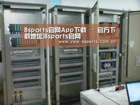 Bsports官网App下载案例展示五